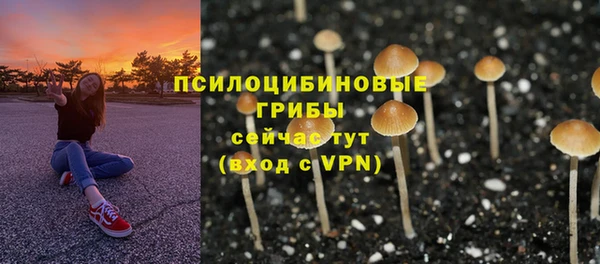 прущий лед Арсеньев
