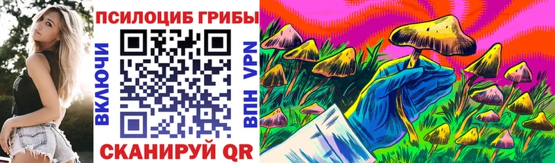 Галлюциногенные грибы Psilocybine cubensis  площадка какой сайт  Тайга  мега tor 